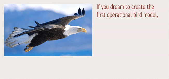 BMSystems wishes you an Happy New Year 2011